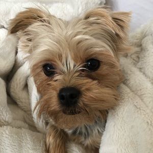 Meet your Posher, Cindy